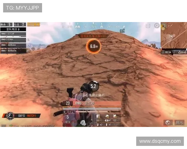 和平精英热议RNG团队协作引发的争议与反思