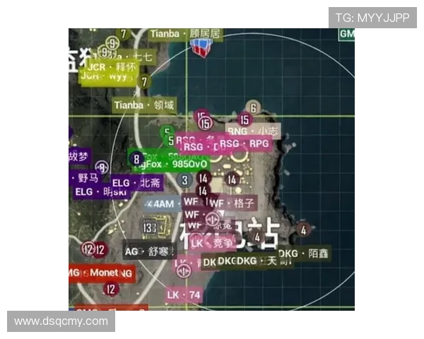 和平精英评论：RNG在赛场上的反击策略与成败分析