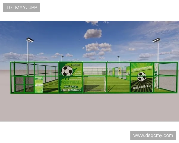 张丽的足球人生:从小球场到职业赛场的深度对话与成长故事 张丽的足球人生:从小球场到职业赛场的深度对话与成长故事