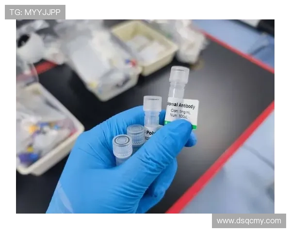 广州飞盘队灵活性分析与表现评估探讨