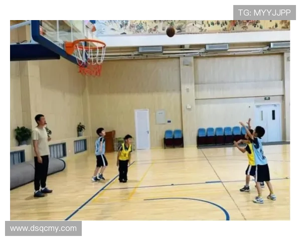 成都篮球队的意识提升与团队协作探讨聚焦篮球发展新方向